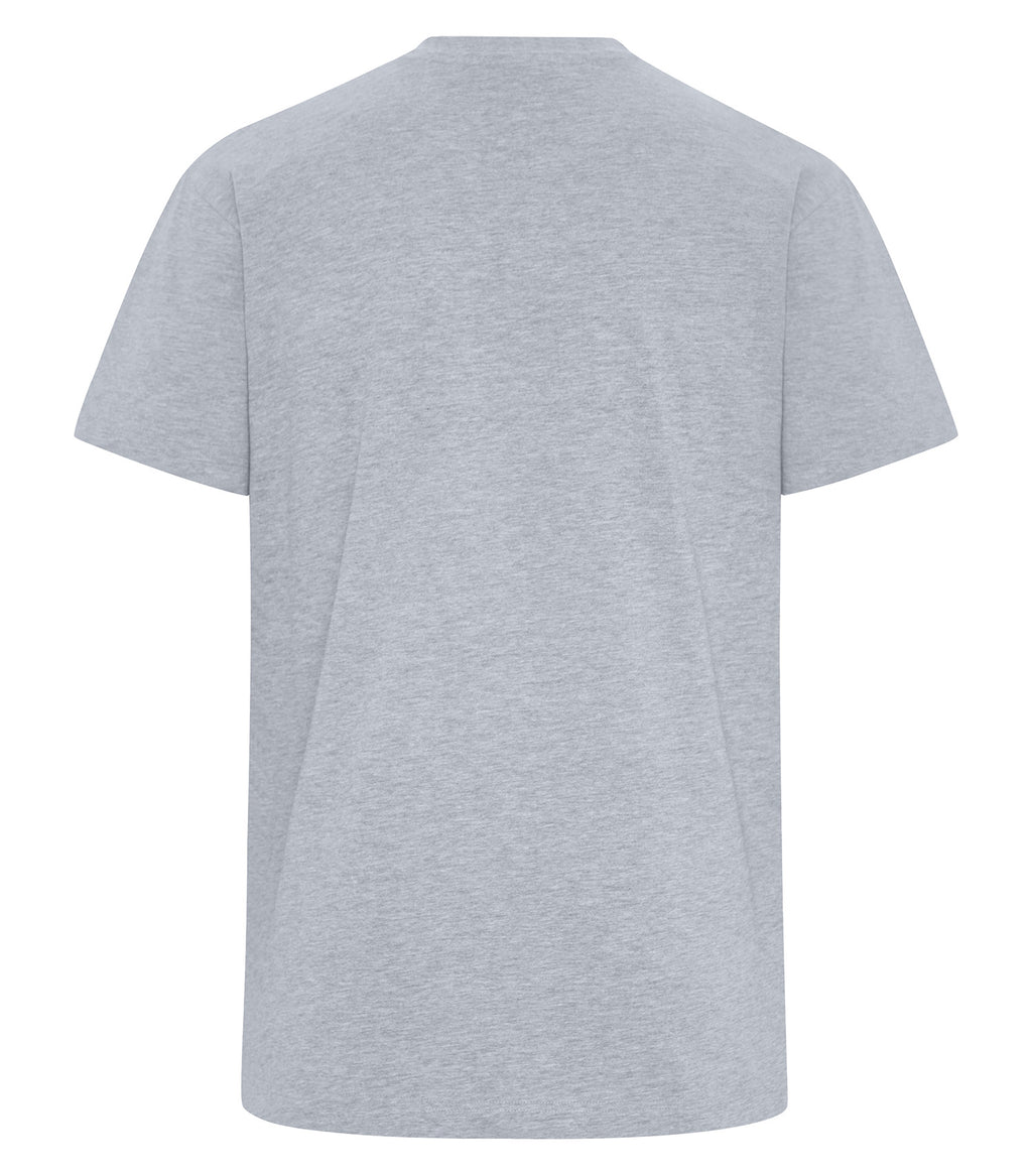 PREMIUM HEAVYWEIGHT T-SHIRT (WERK250)