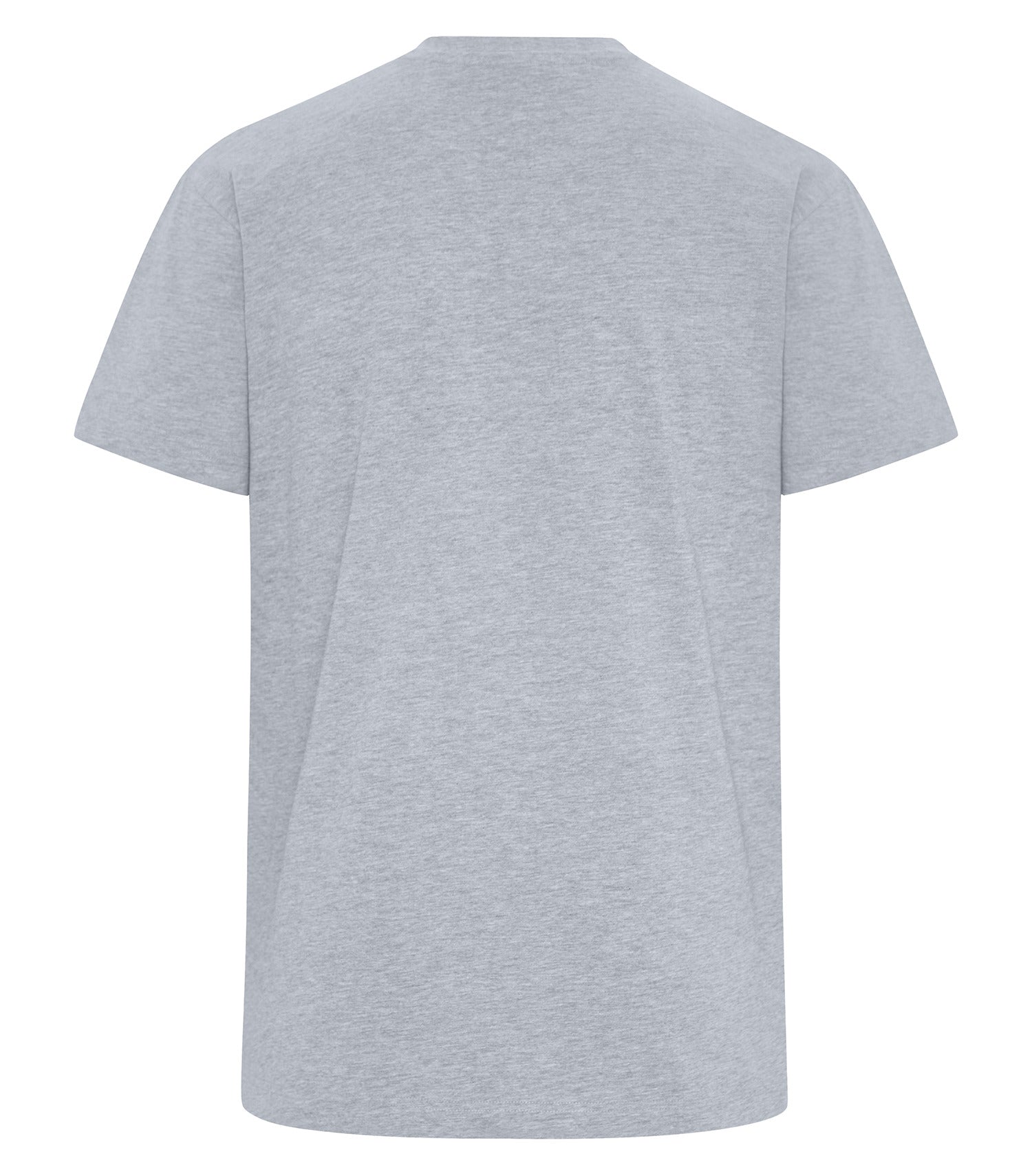 PREMIUM HEAVYWEIGHT T-SHIRT (WERK250)