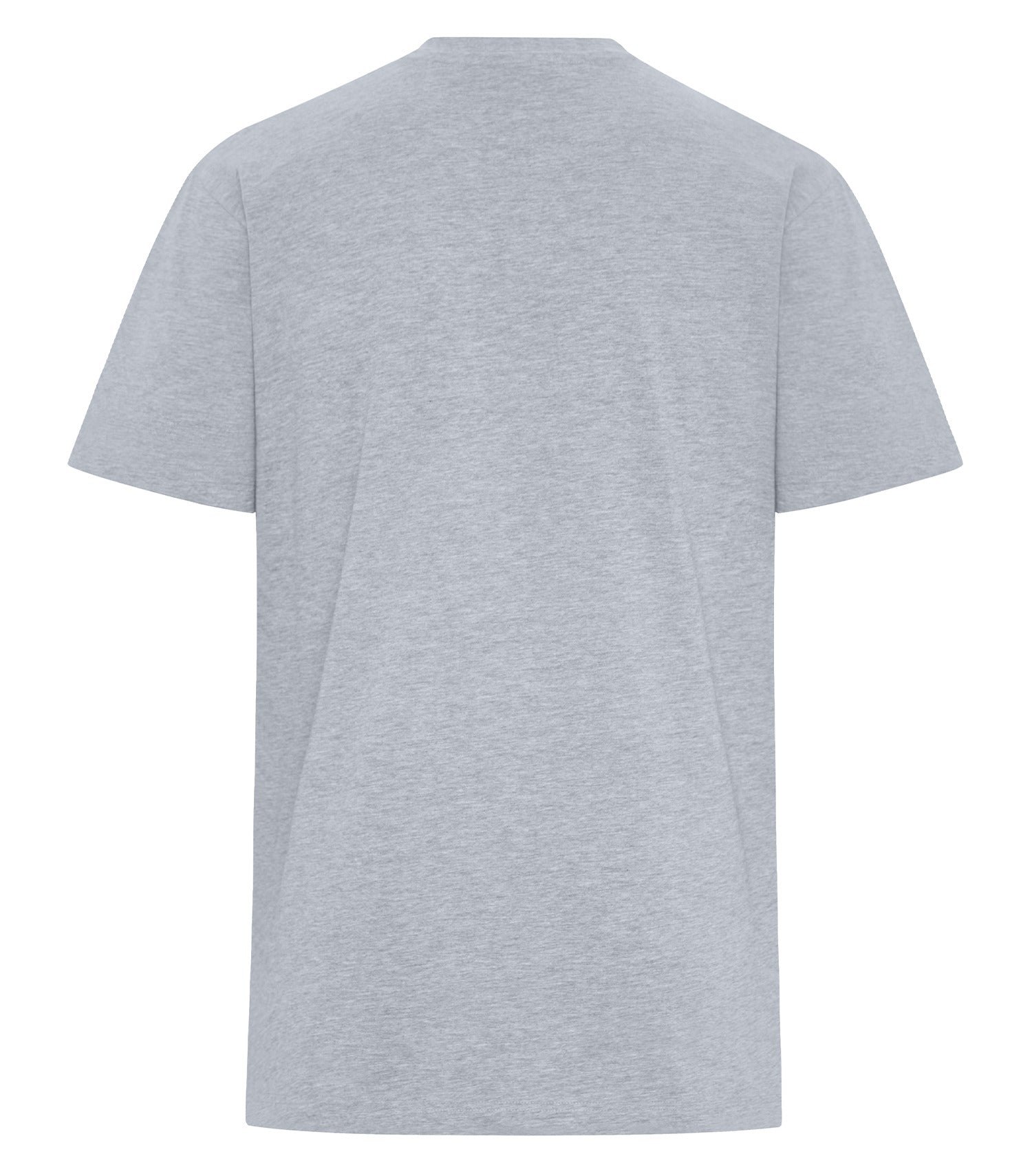 PREMIUM TALL HEAVYWEIGHT T-SHIRT (WERK250T)