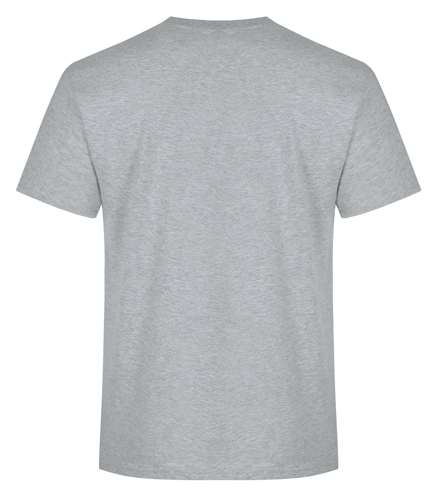 STANDARD T-SHIRT (ATC2000)