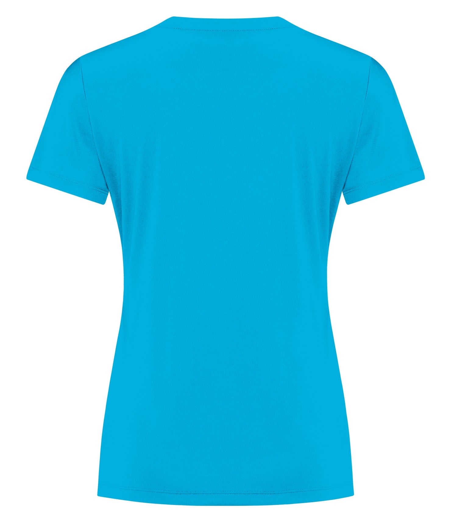 WOMEN'S STANDARD V-NECK POLYESTER T-SHIRT (L3520)
