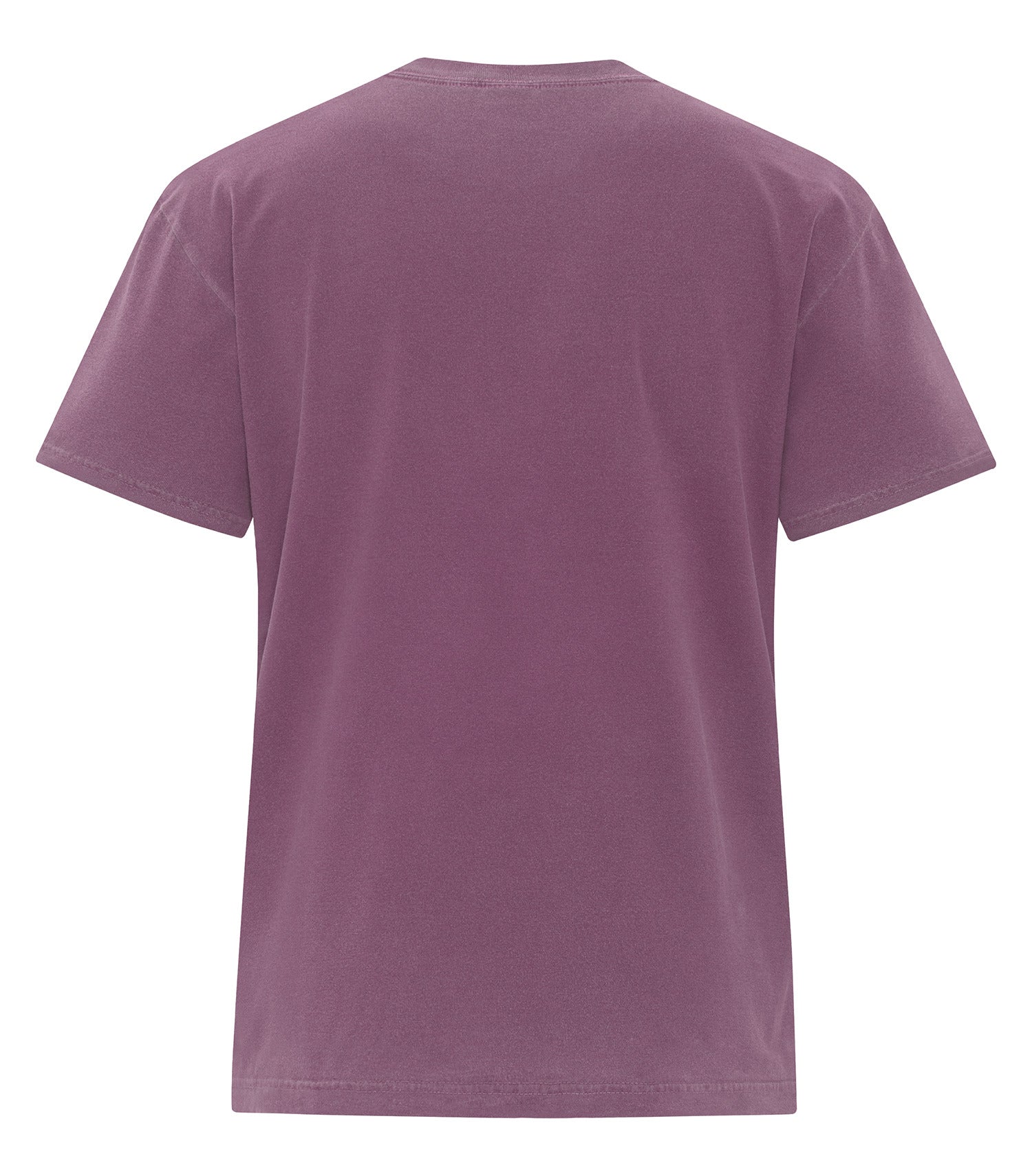 PREMIUM HEAVYWEIGHT GARMENT-DYED T-SHIRT (ATC1700)