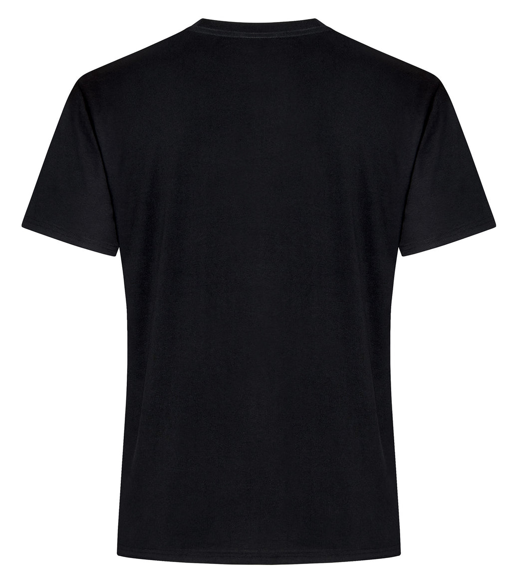 STANDARD T-SHIRT (ATC2000)