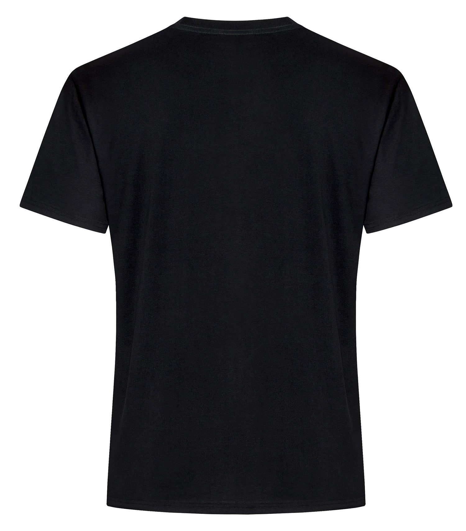 STANDARD T-SHIRT (ATC2000)