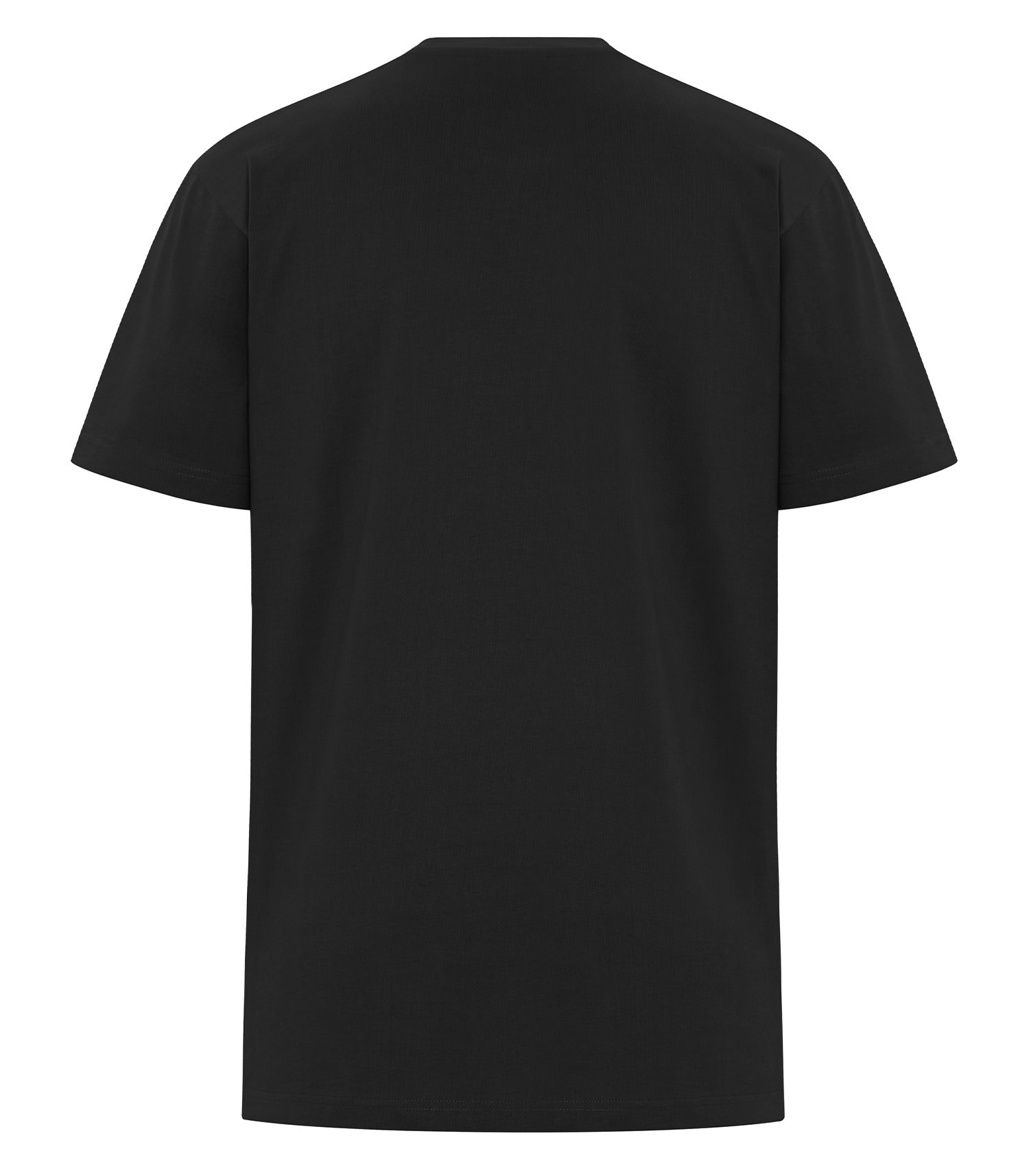 PREMIUM TALL HEAVYWEIGHT T-SHIRT (WERK250T)