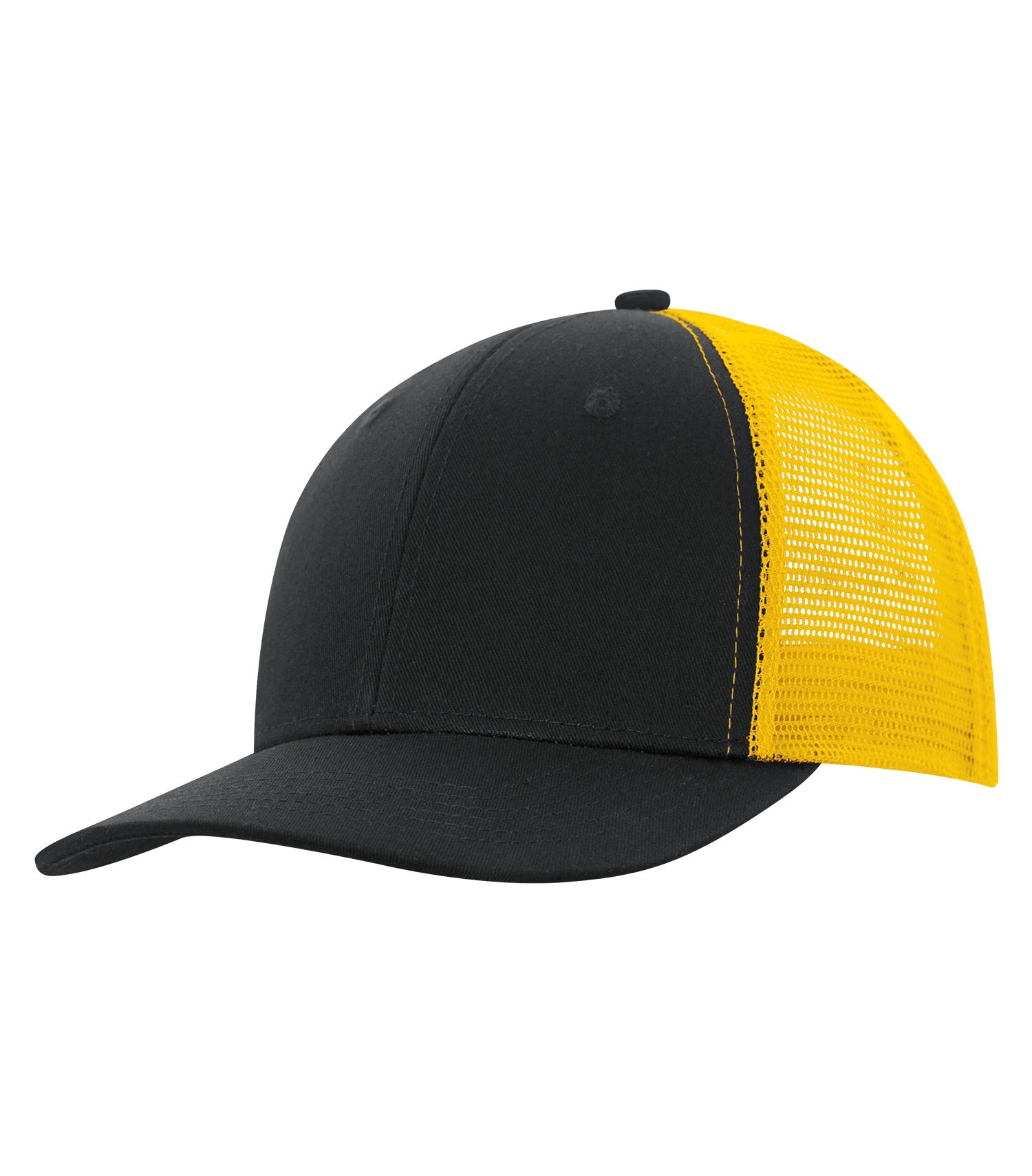 BASIC TRUCKER HAT (C1318)