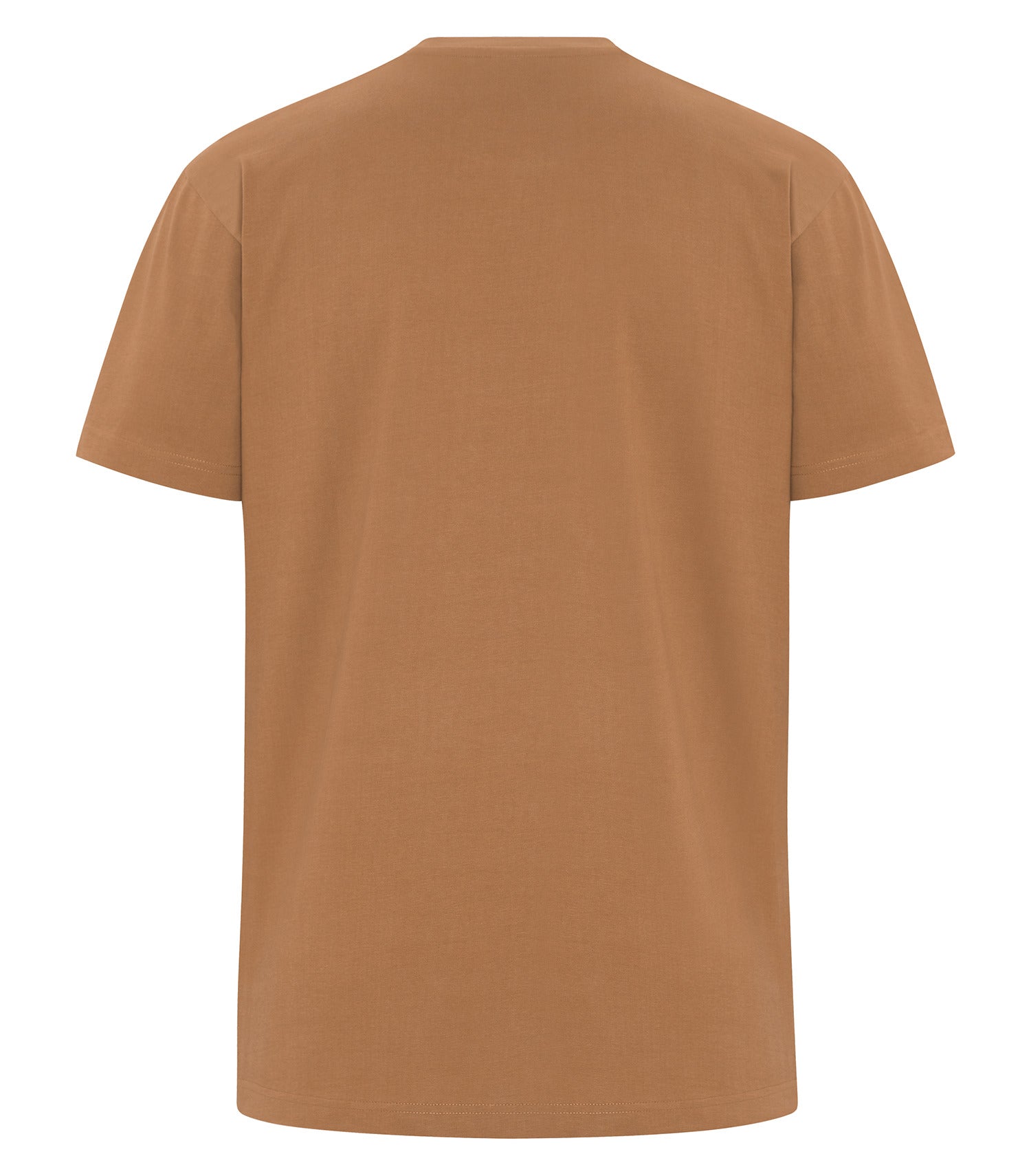 PREMIUM HEAVYWEIGHT T-SHIRT (WERK250)