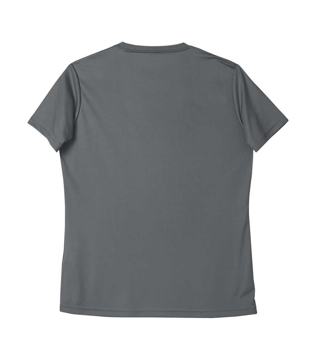 WOMEN'S STANDARD V-NECK POLYESTER T-SHIRT (L3520)