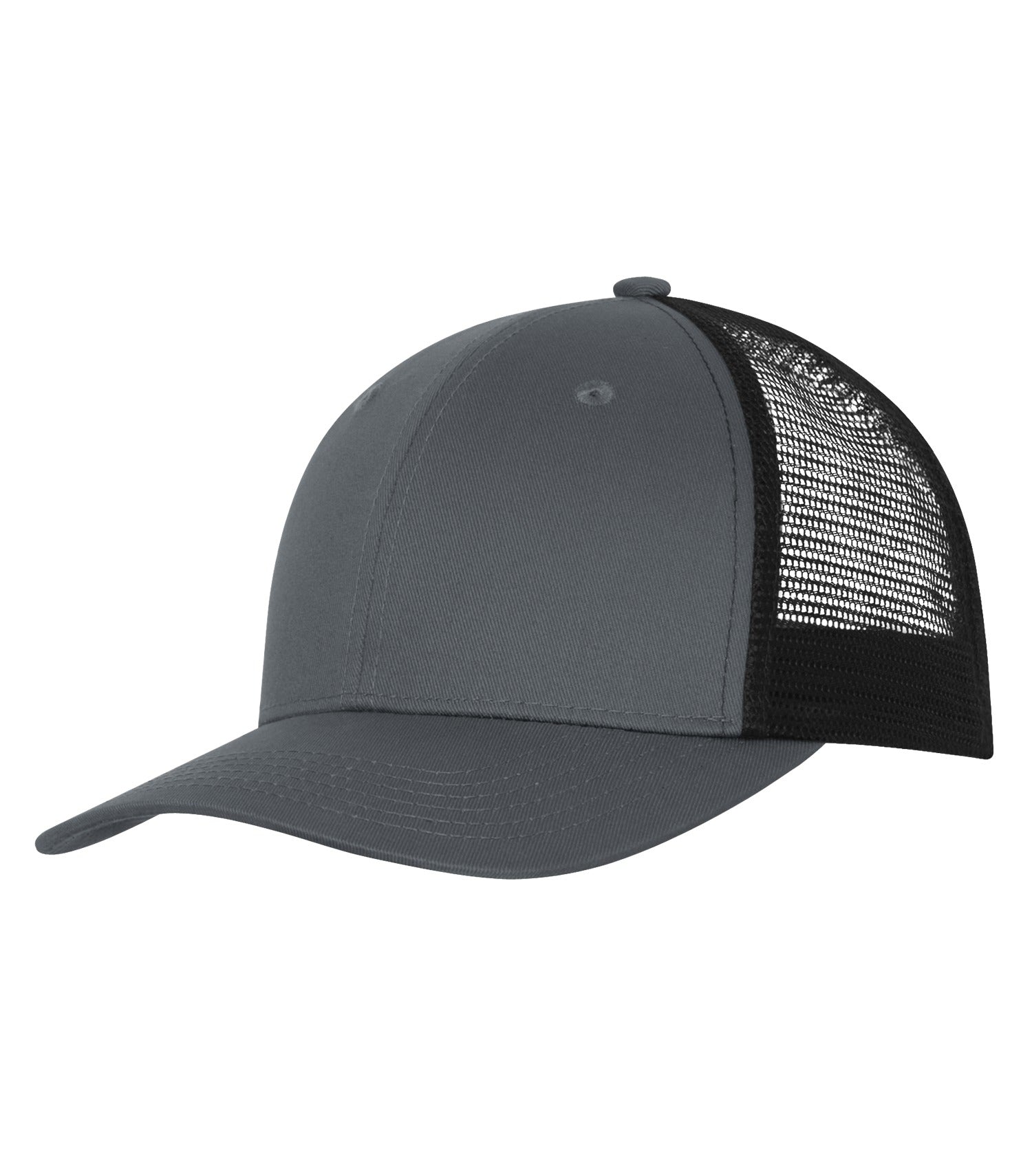BASIC TRUCKER HAT (C1318)