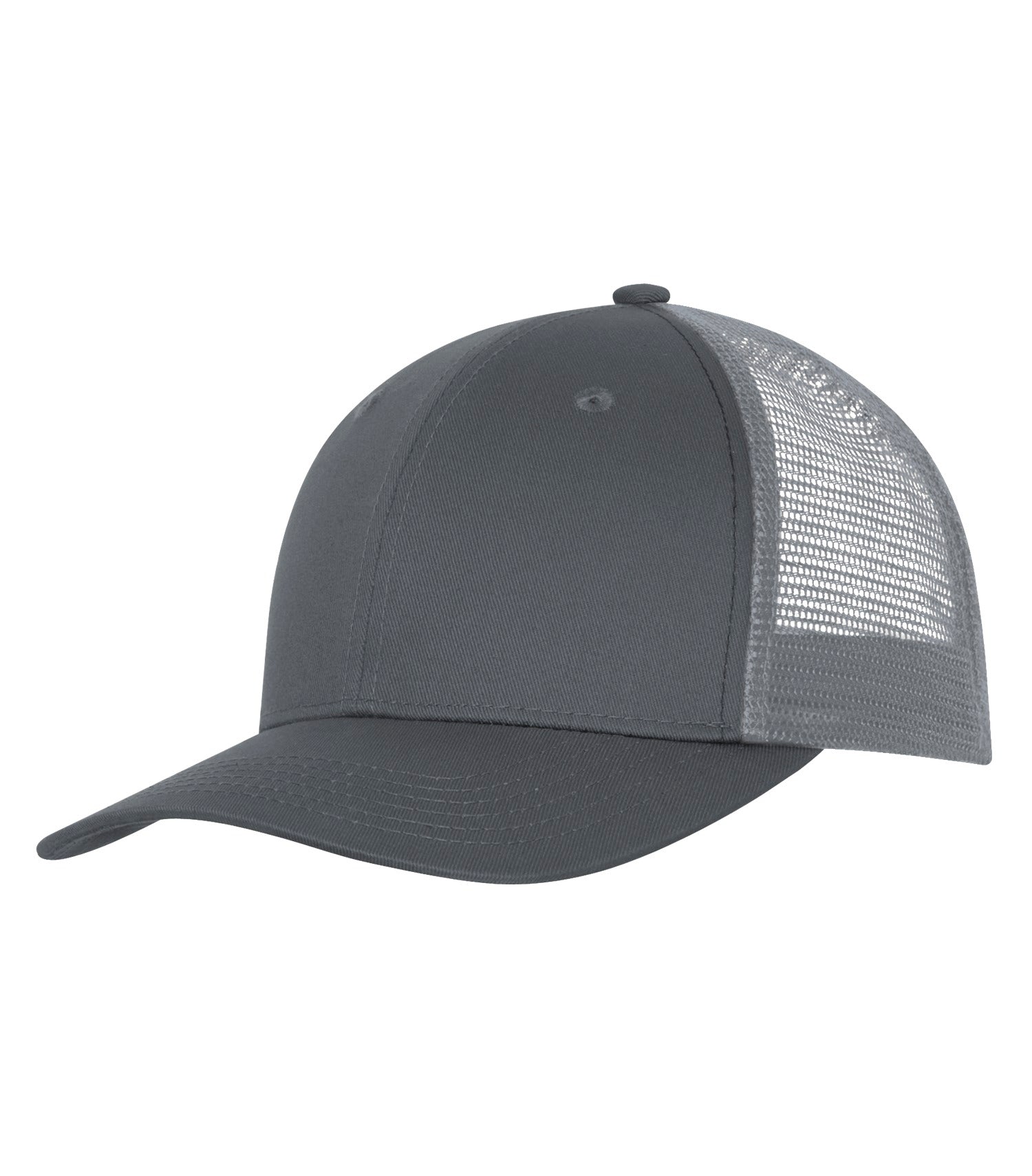 BASIC TRUCKER HAT (C1318)