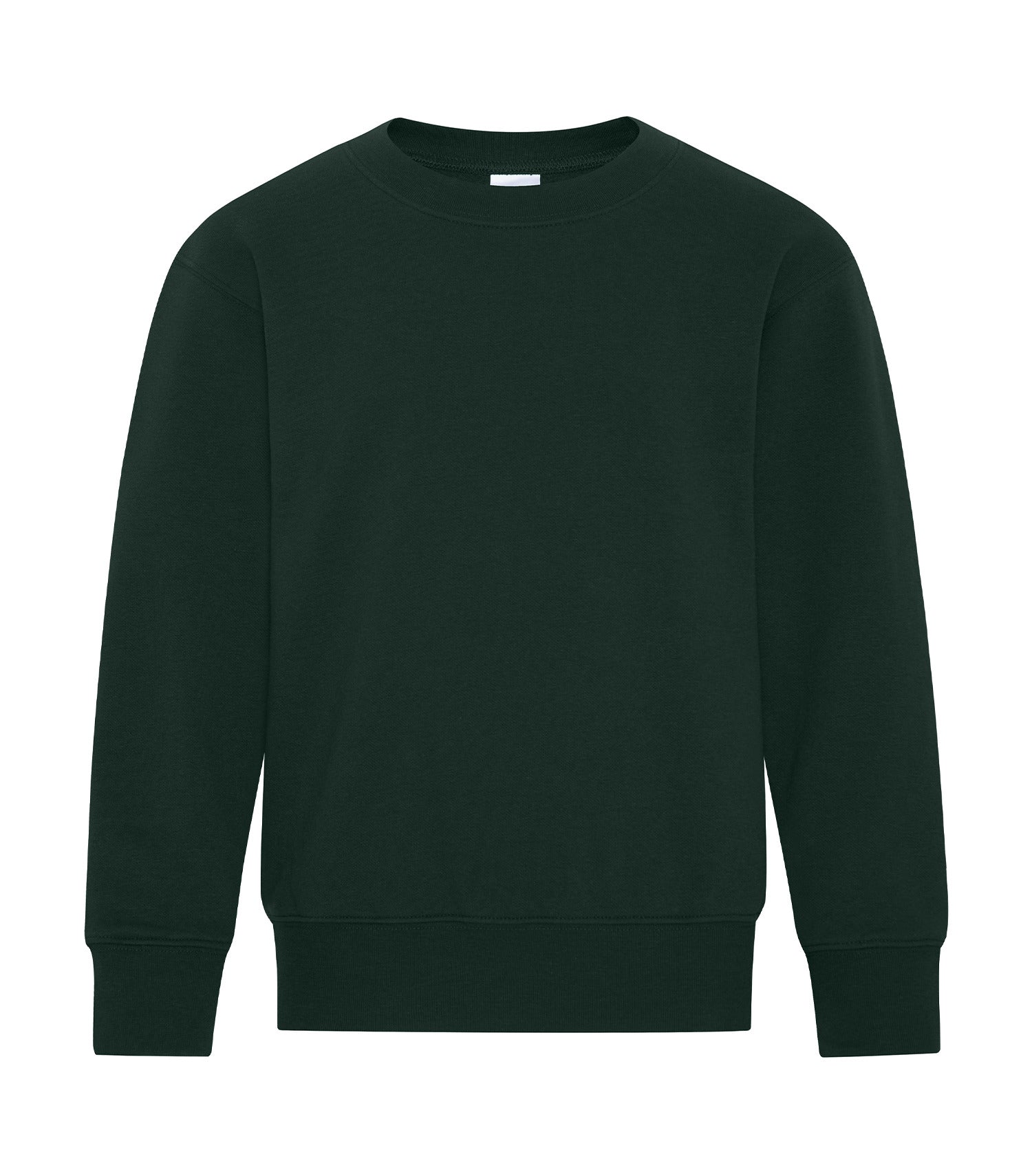 YOUTH BASIC CREWNECK (ATCY2400)