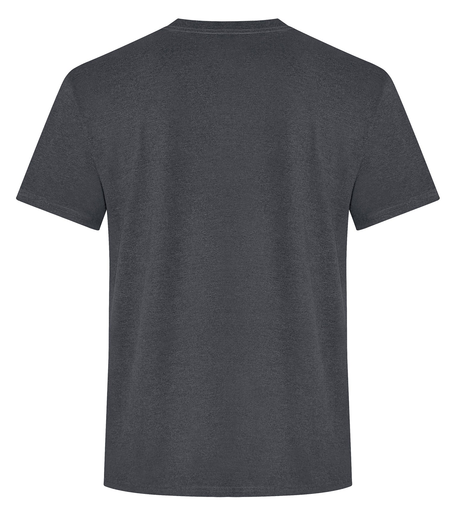 STANDARD T-SHIRT (ATC2000)