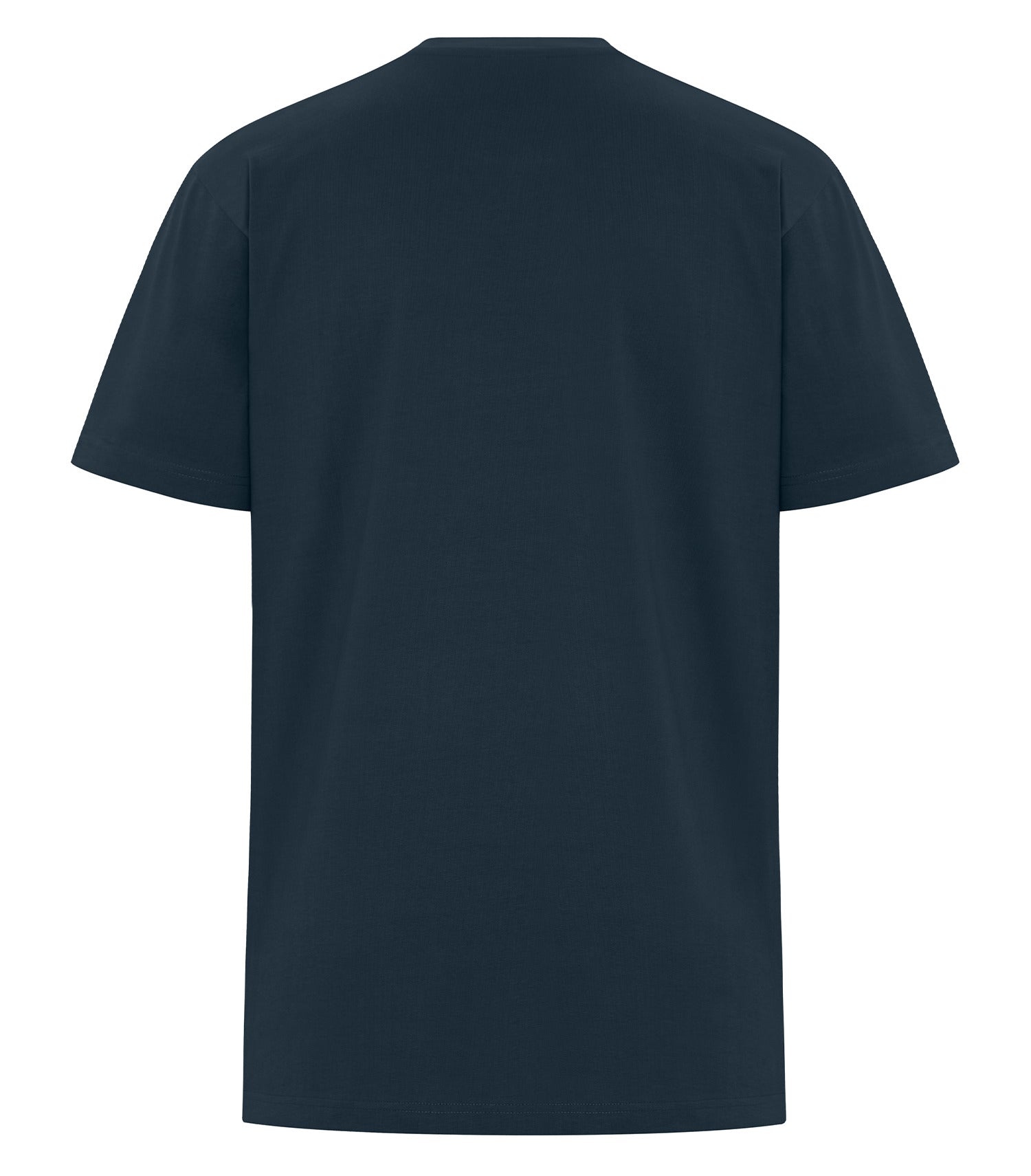 PREMIUM TALL HEAVYWEIGHT T-SHIRT (WERK250T)