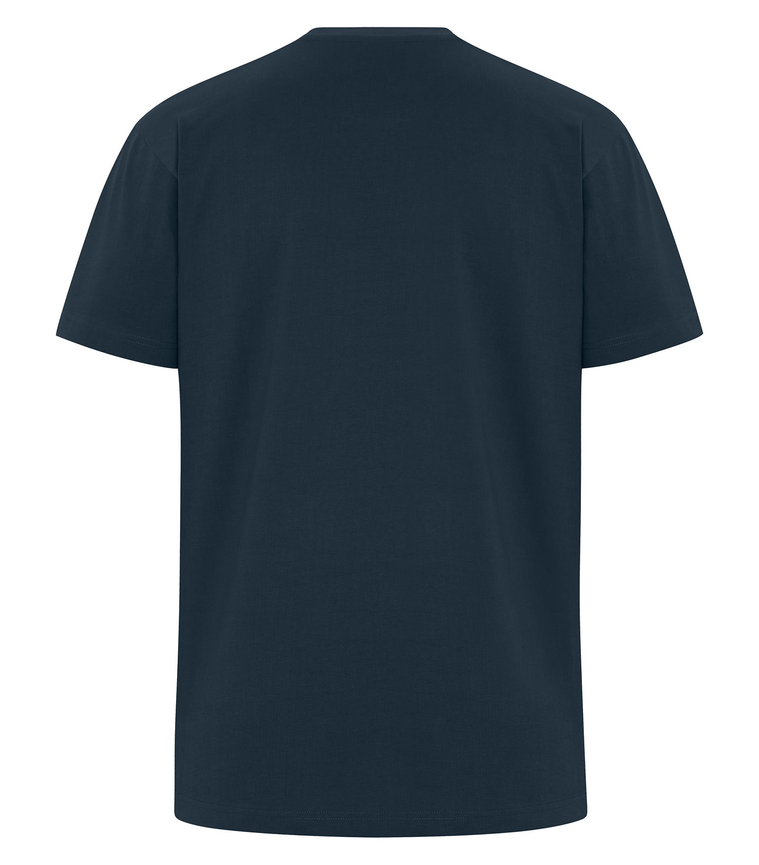 PREMIUM HEAVYWEIGHT T-SHIRT (WERK250)