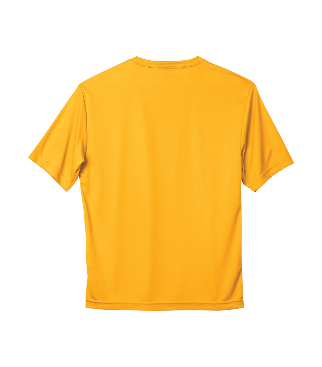STANDARD POLYESTER T-SHIRT (S350)