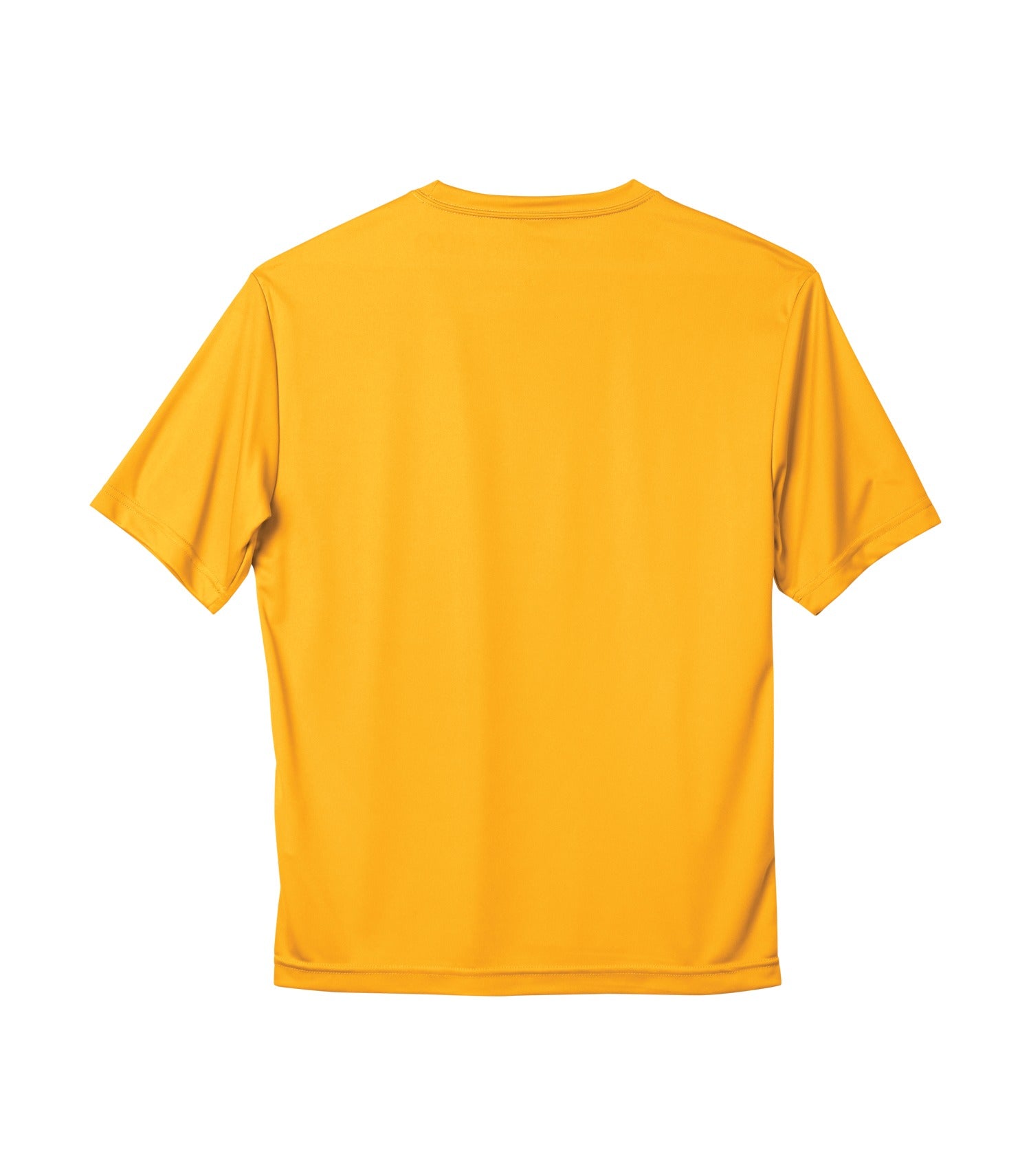 STANDARD POLYESTER T-SHIRT (S350)