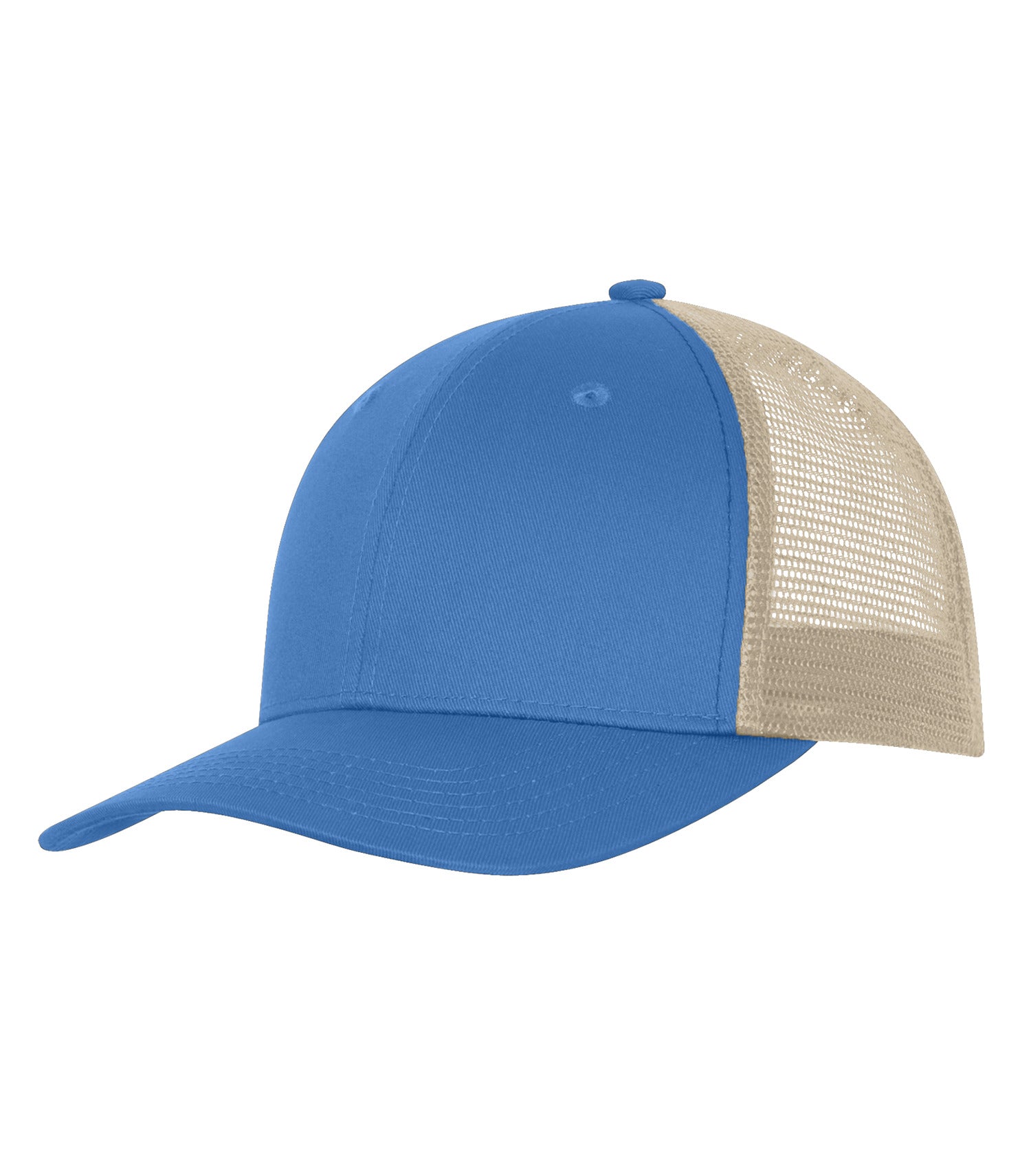BASIC TRUCKER HAT (C1318)
