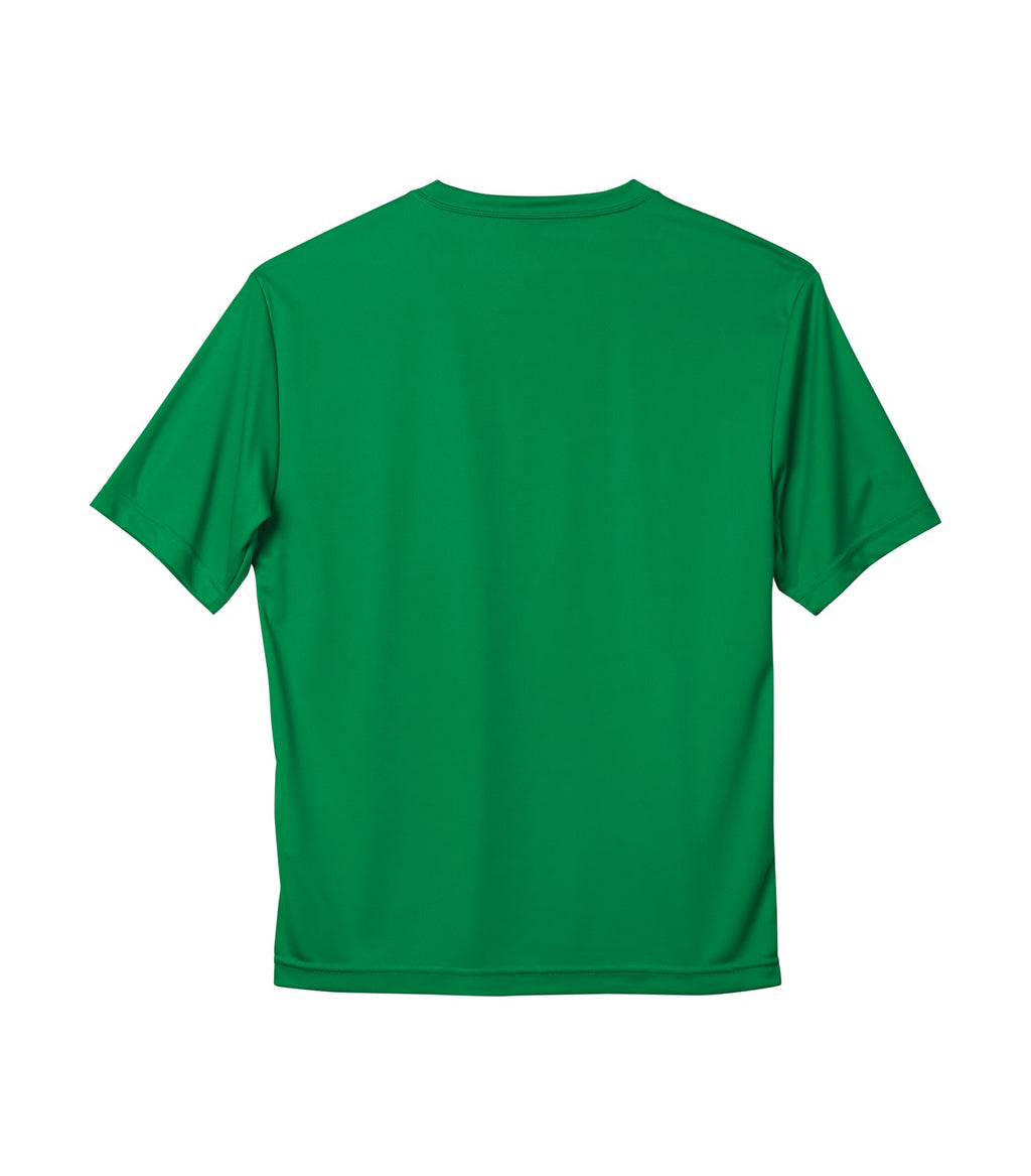 STANDARD POLYESTER T-SHIRT (S350)
