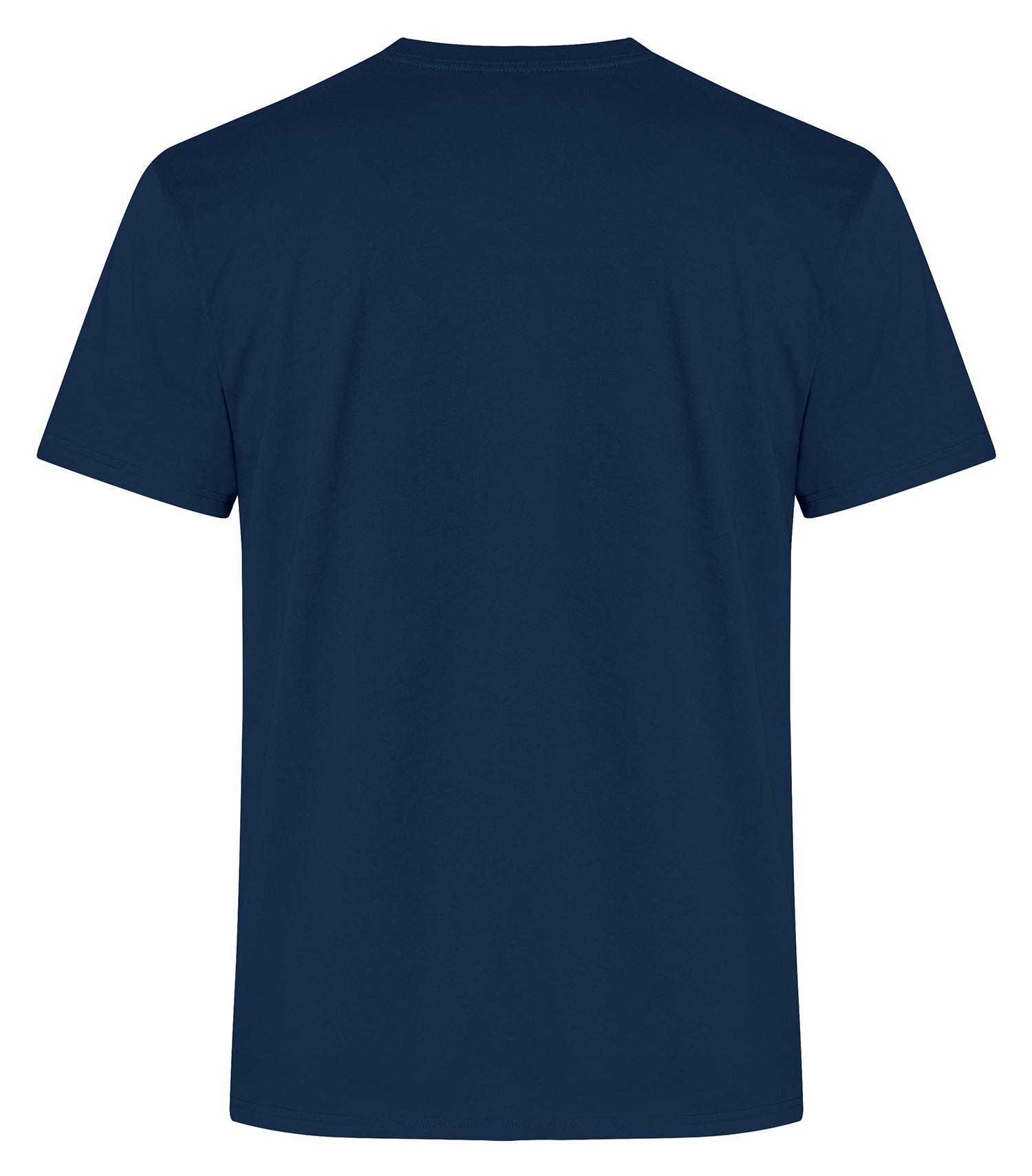 STANDARD T-SHIRT (ATC2000)