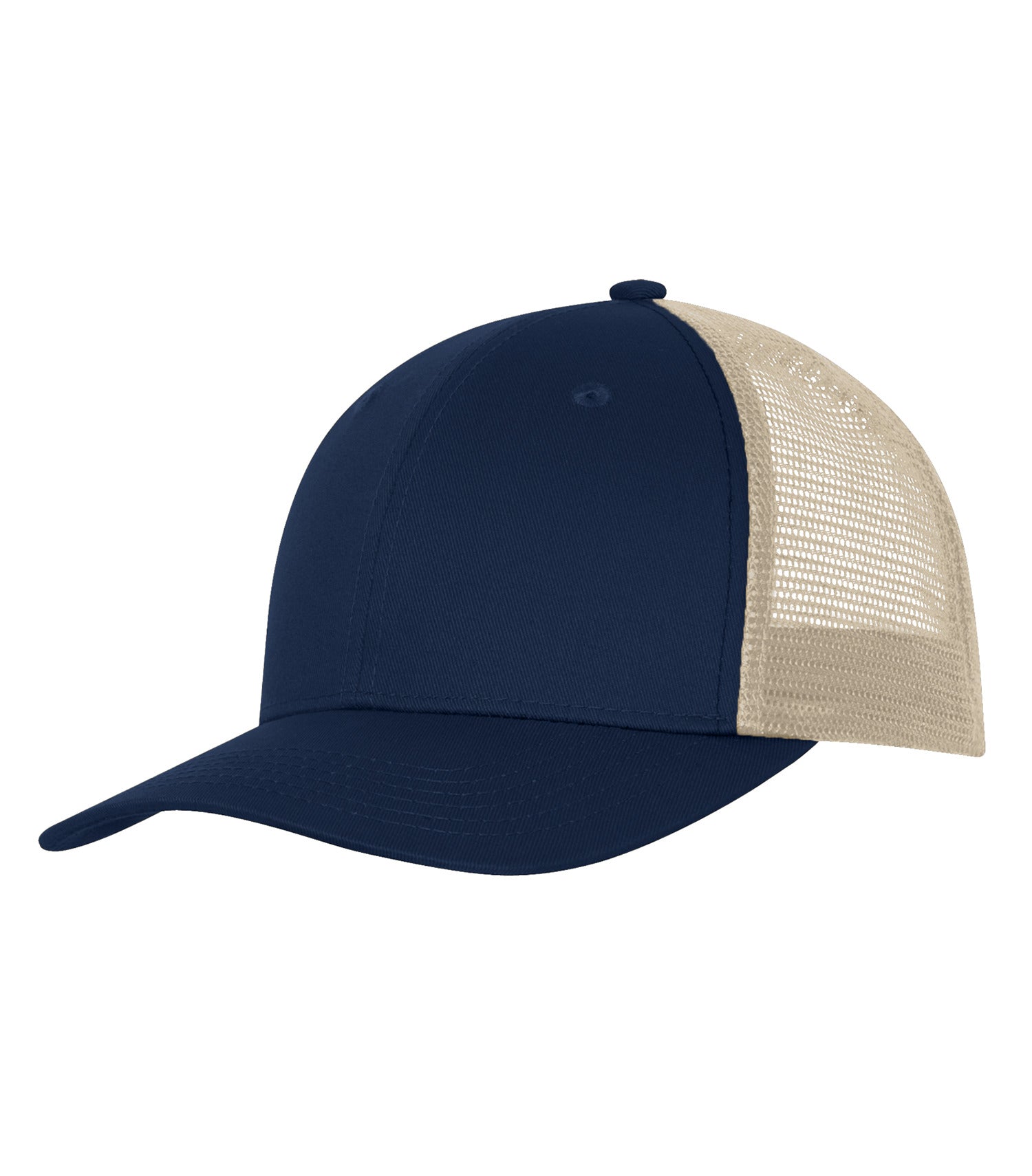 BASIC TRUCKER HAT (C1318)