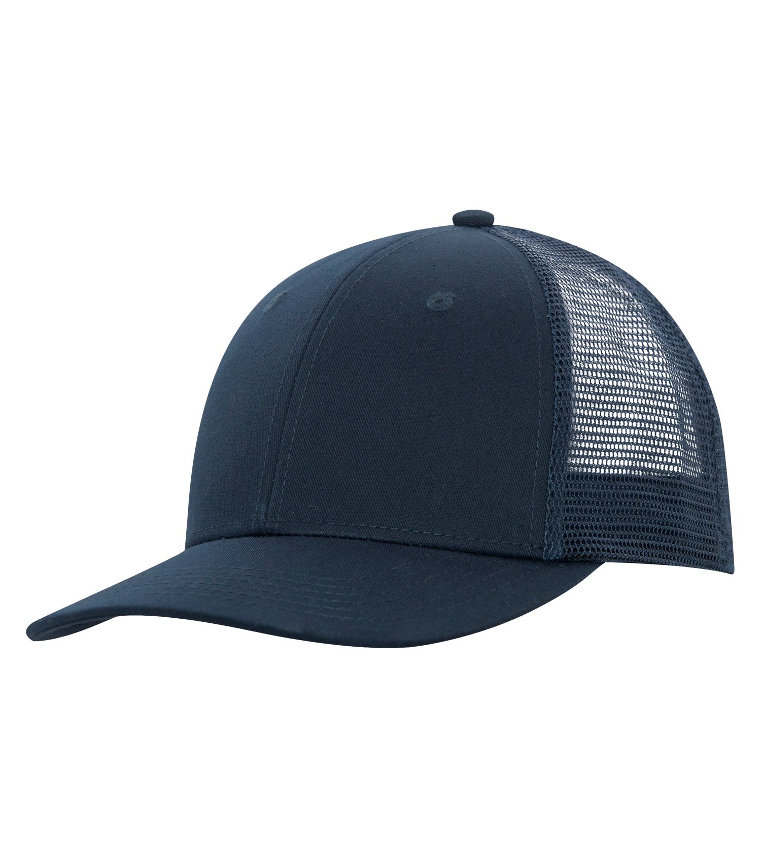 BASIC TRUCKER HAT (C1318)