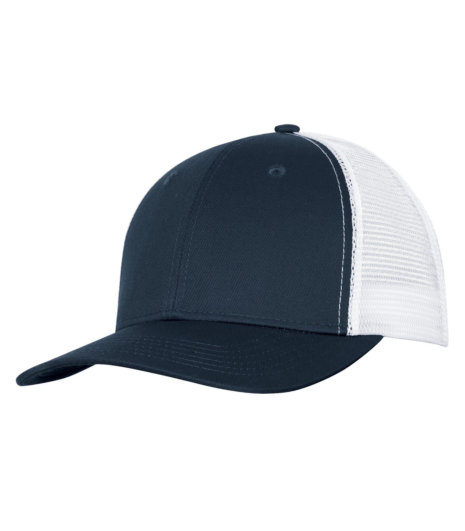 BASIC TRUCKER HAT (C1318)