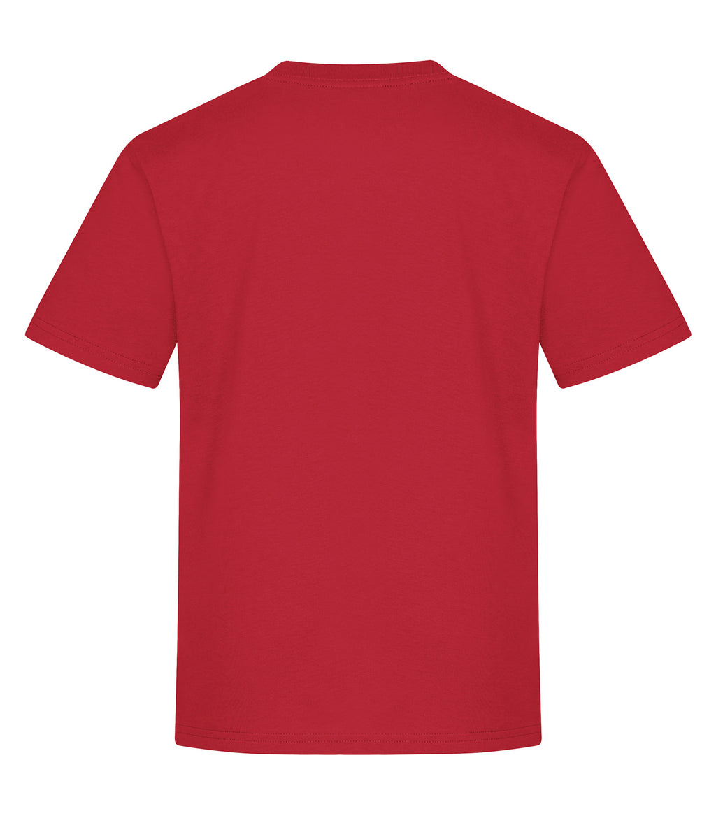 YOUTH STANDARD T-SHIRT (ATC2000Y)