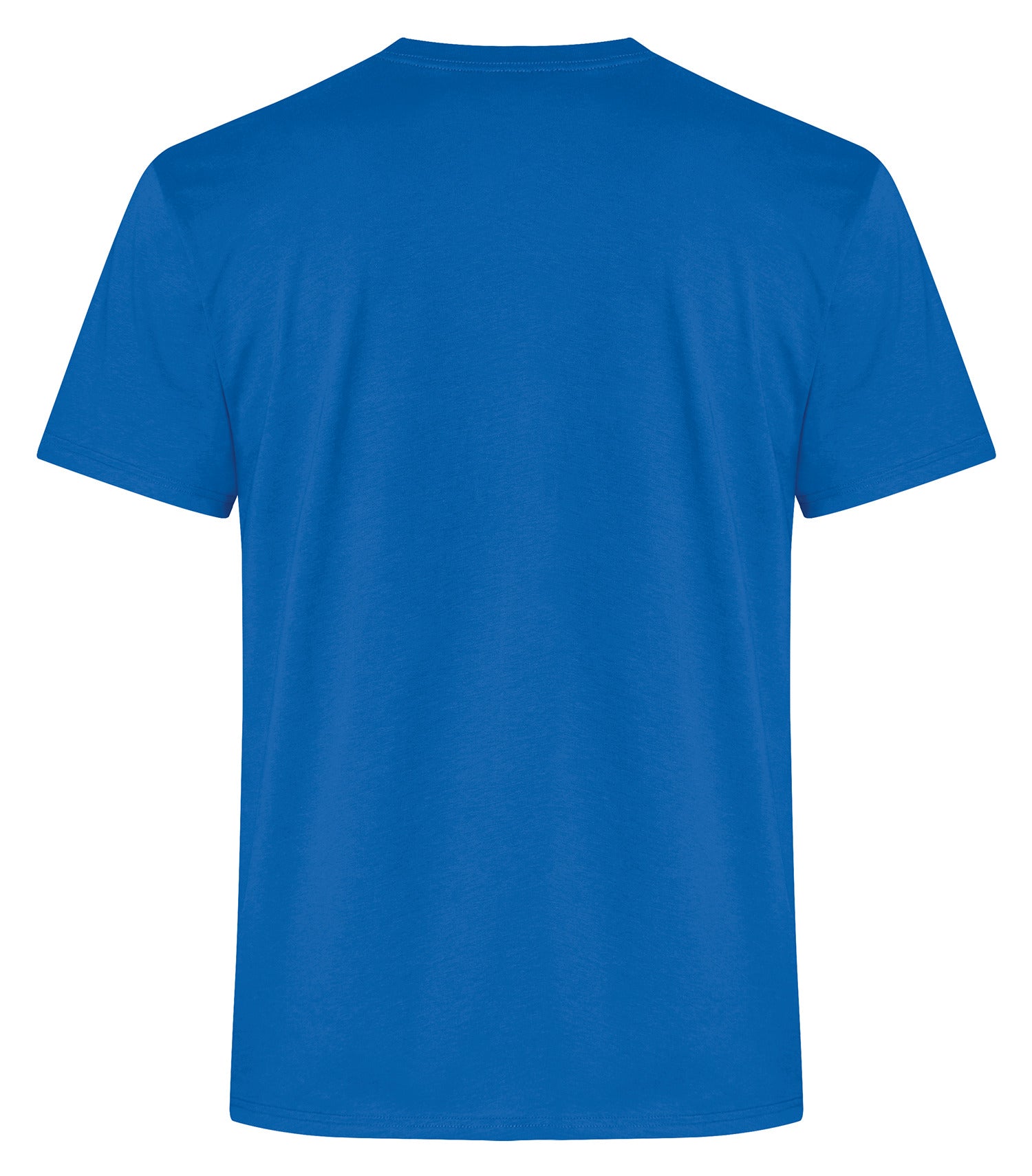 STANDARD T-SHIRT (ATC2000)