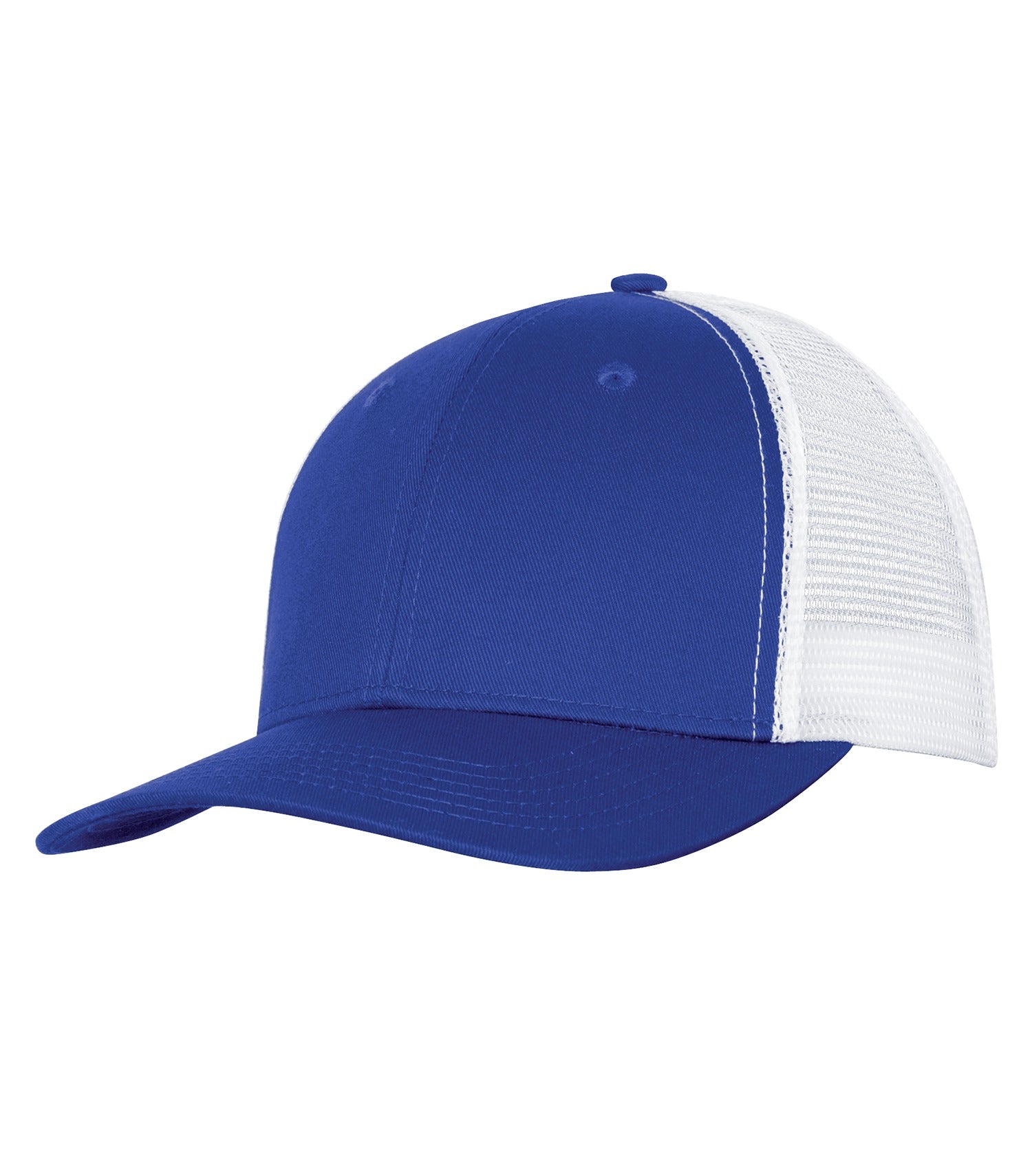 BASIC TRUCKER HAT (C1318)