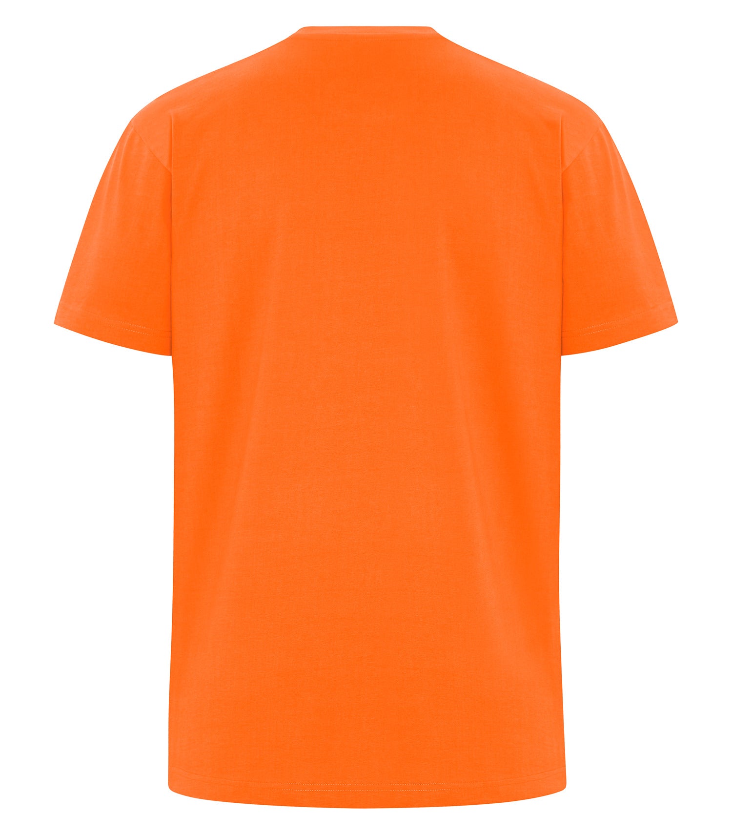 PREMIUM HEAVYWEIGHT T-SHIRT (WERK250)