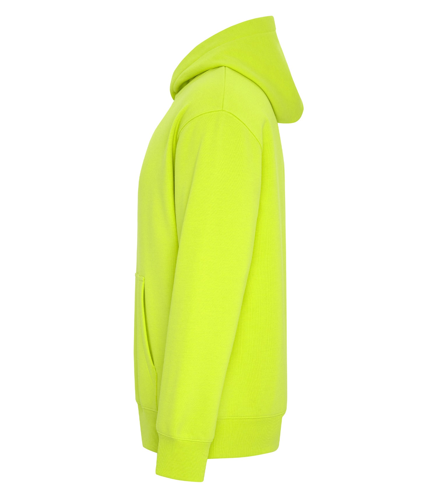 PREMIUM HEAVYWEIGHT HOODIE (WERK420)