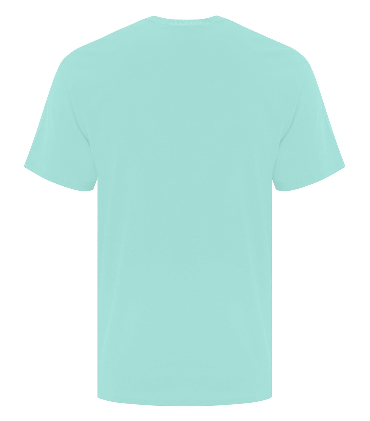BASIC T-SHIRT (ATC1000)