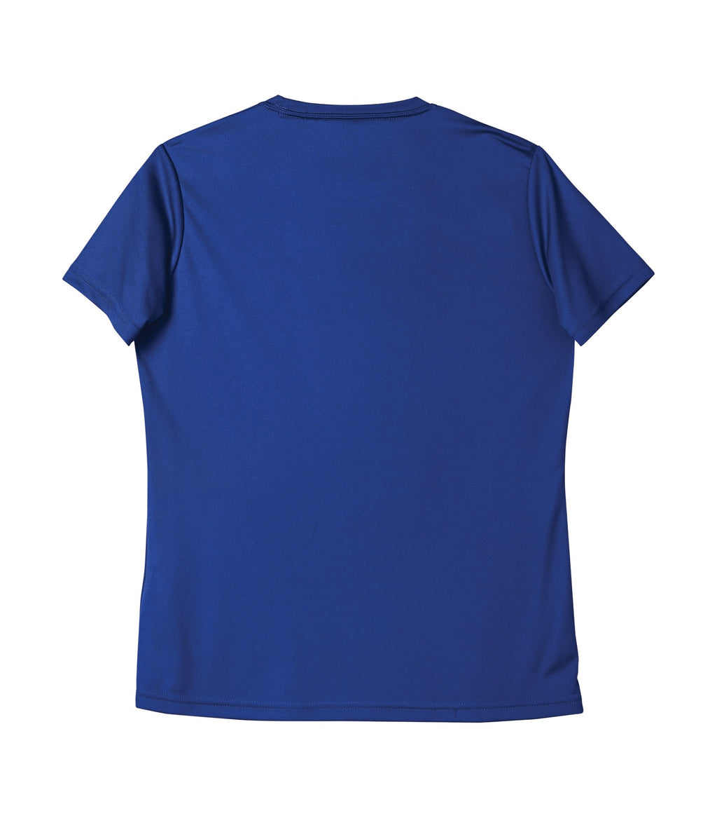 WOMEN'S STANDARD V-NECK POLYESTER T-SHIRT (L3520)