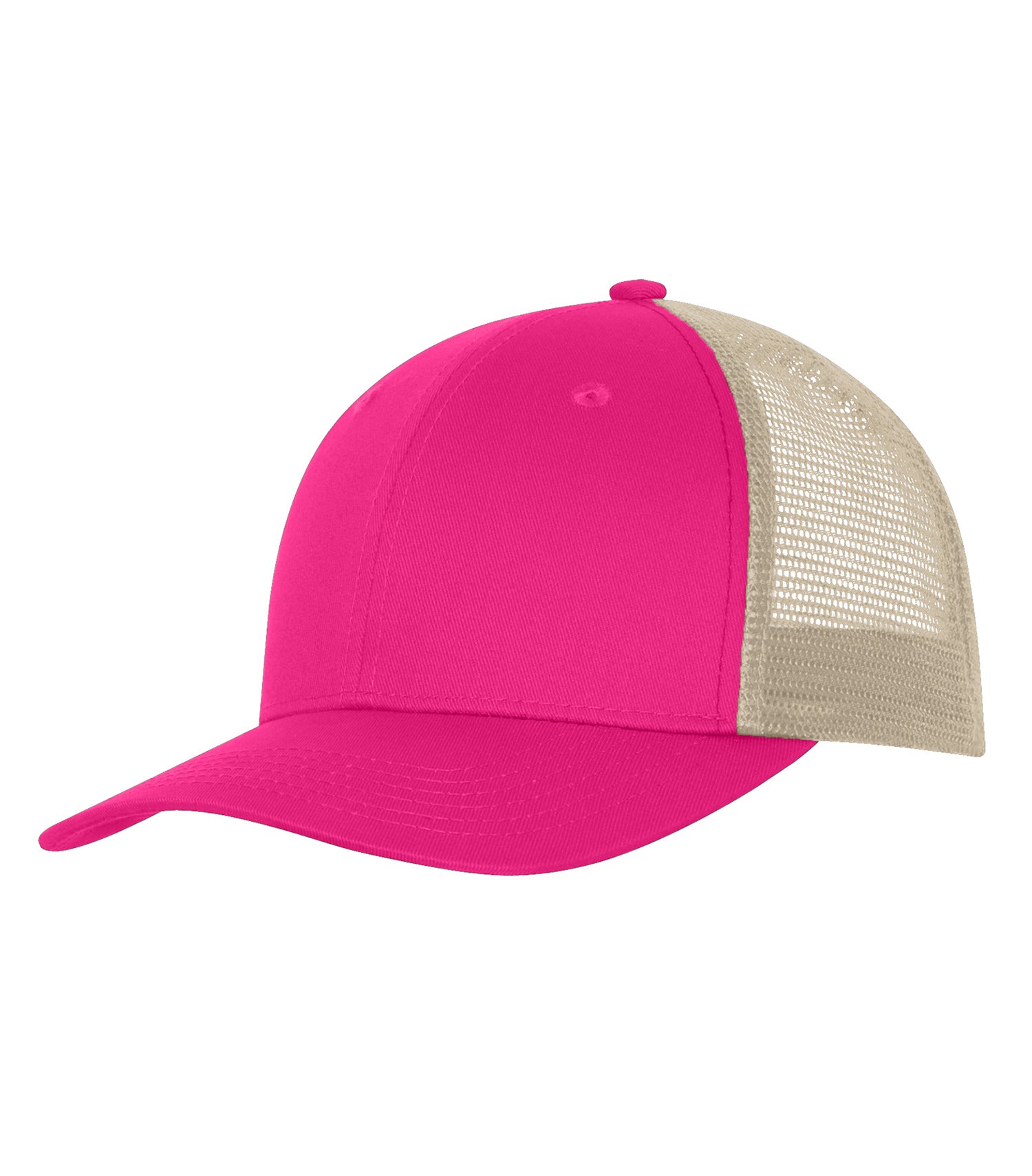 BASIC TRUCKER HAT (C1318)