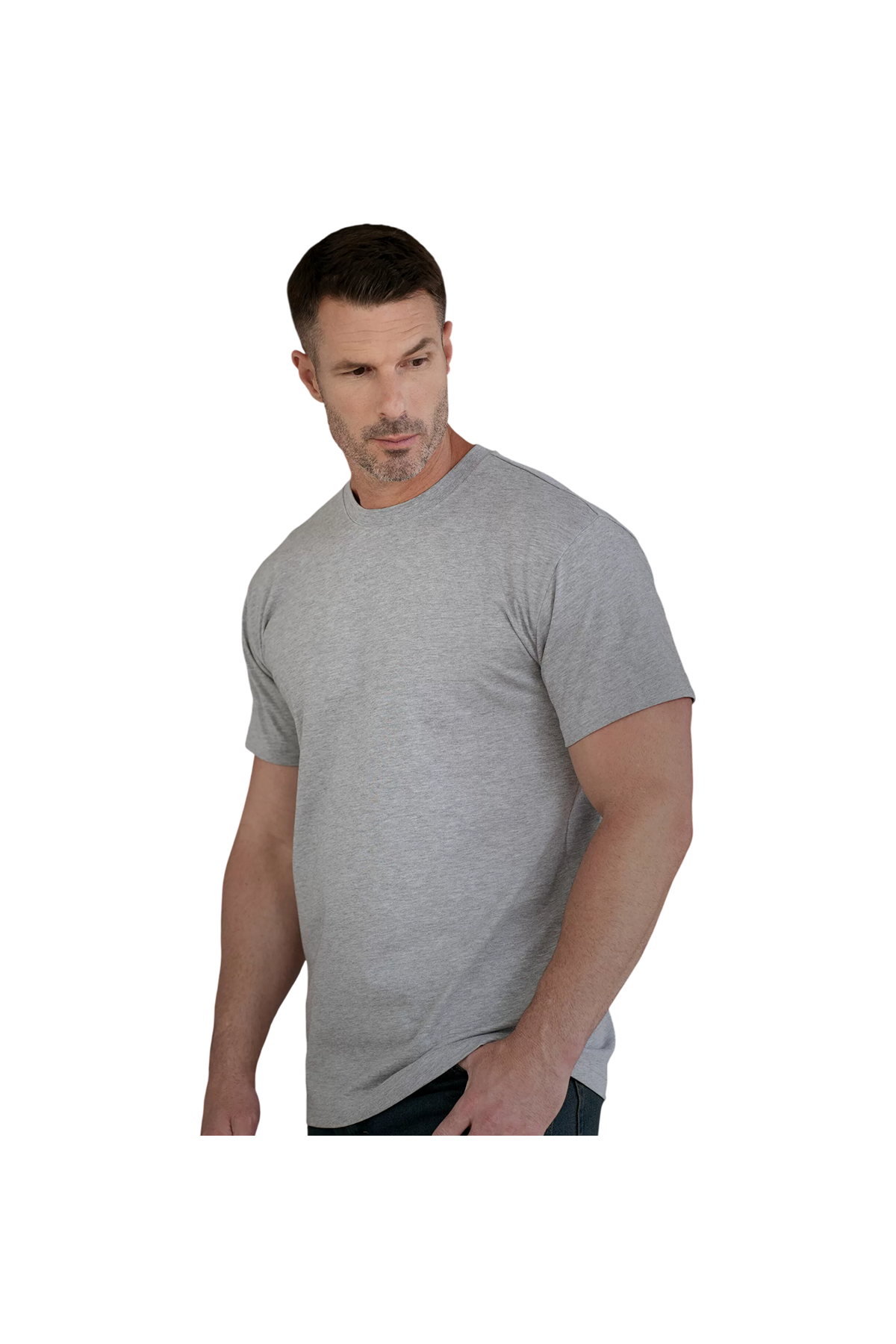 PREMIUM HEAVYWEIGHT T-SHIRT (WERK250)