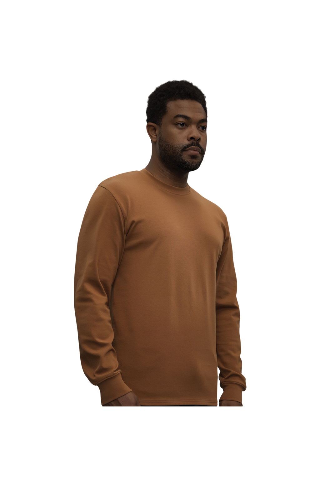 PREMIUM HEAVYWEIGHT LONGSLEEVE (WERK250LS)