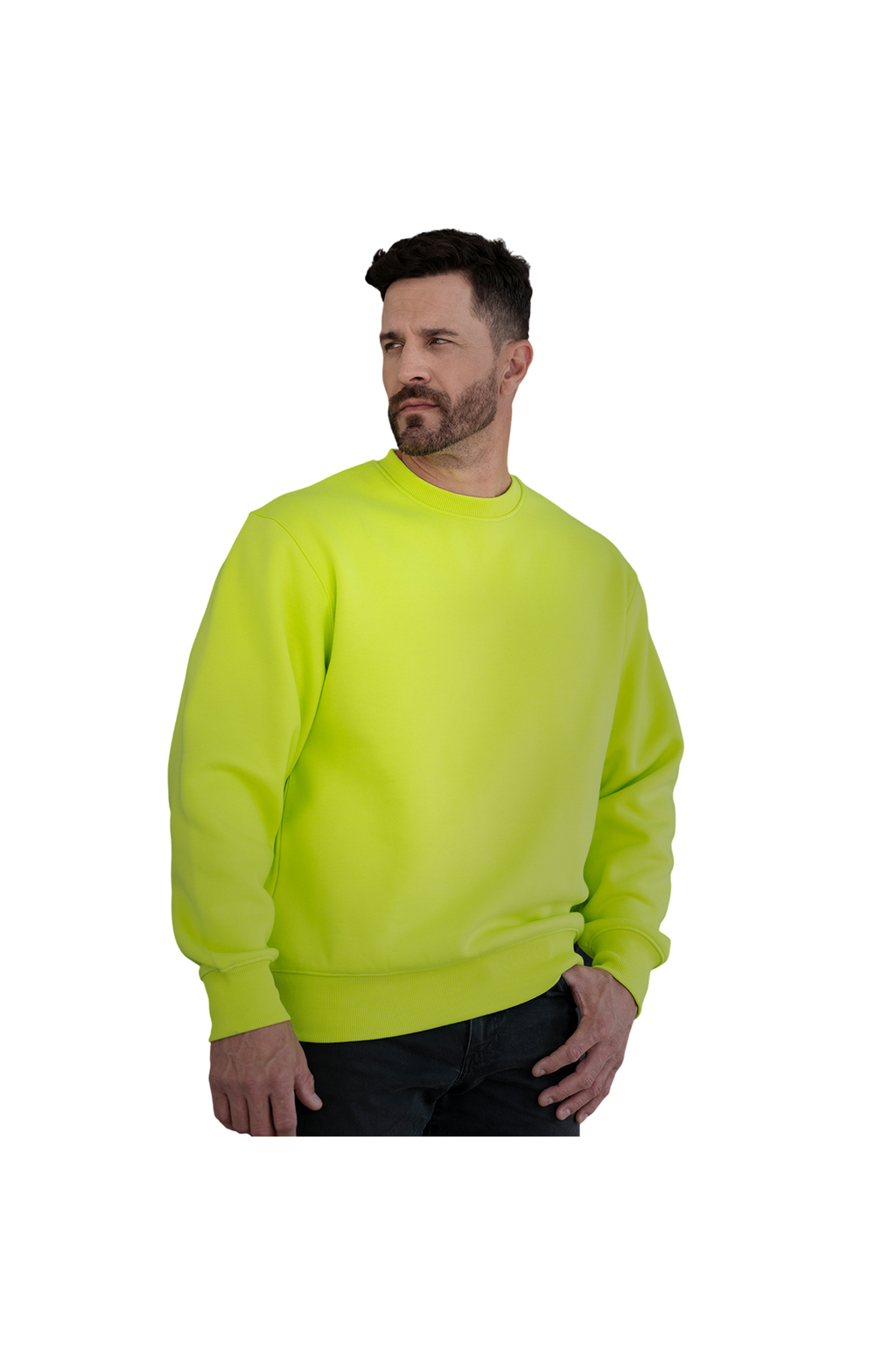 PREMIUM HEAVYWEIGHT CREWNECK (WERK421)