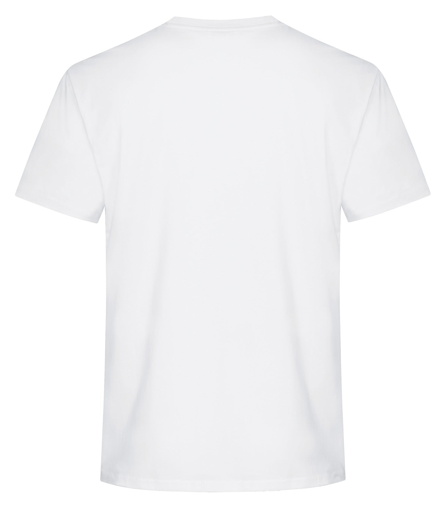 STANDARD T-SHIRT (ATC2000)