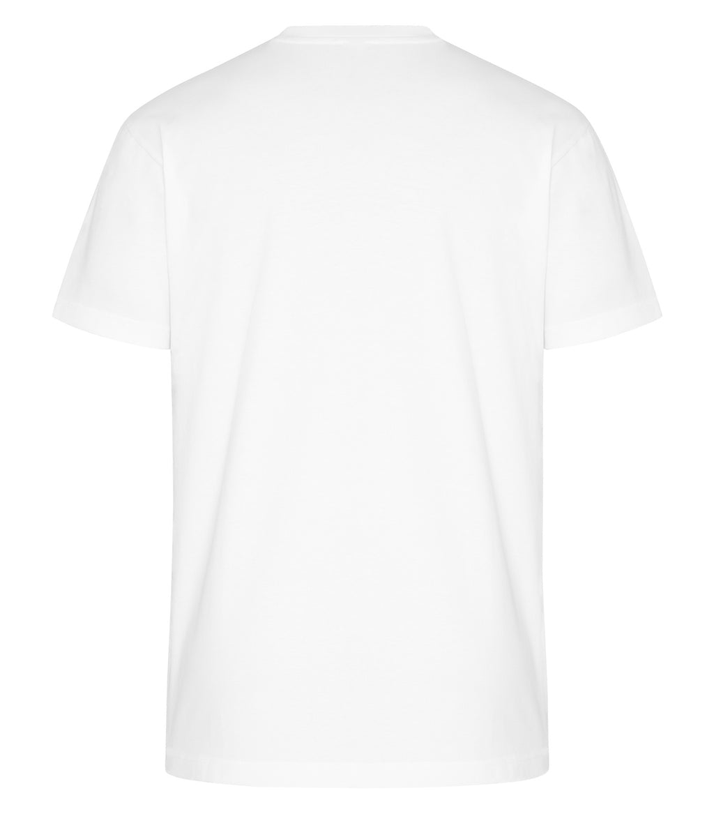 PREMIUM HEAVYWEIGHT T-SHIRT (WERK250)