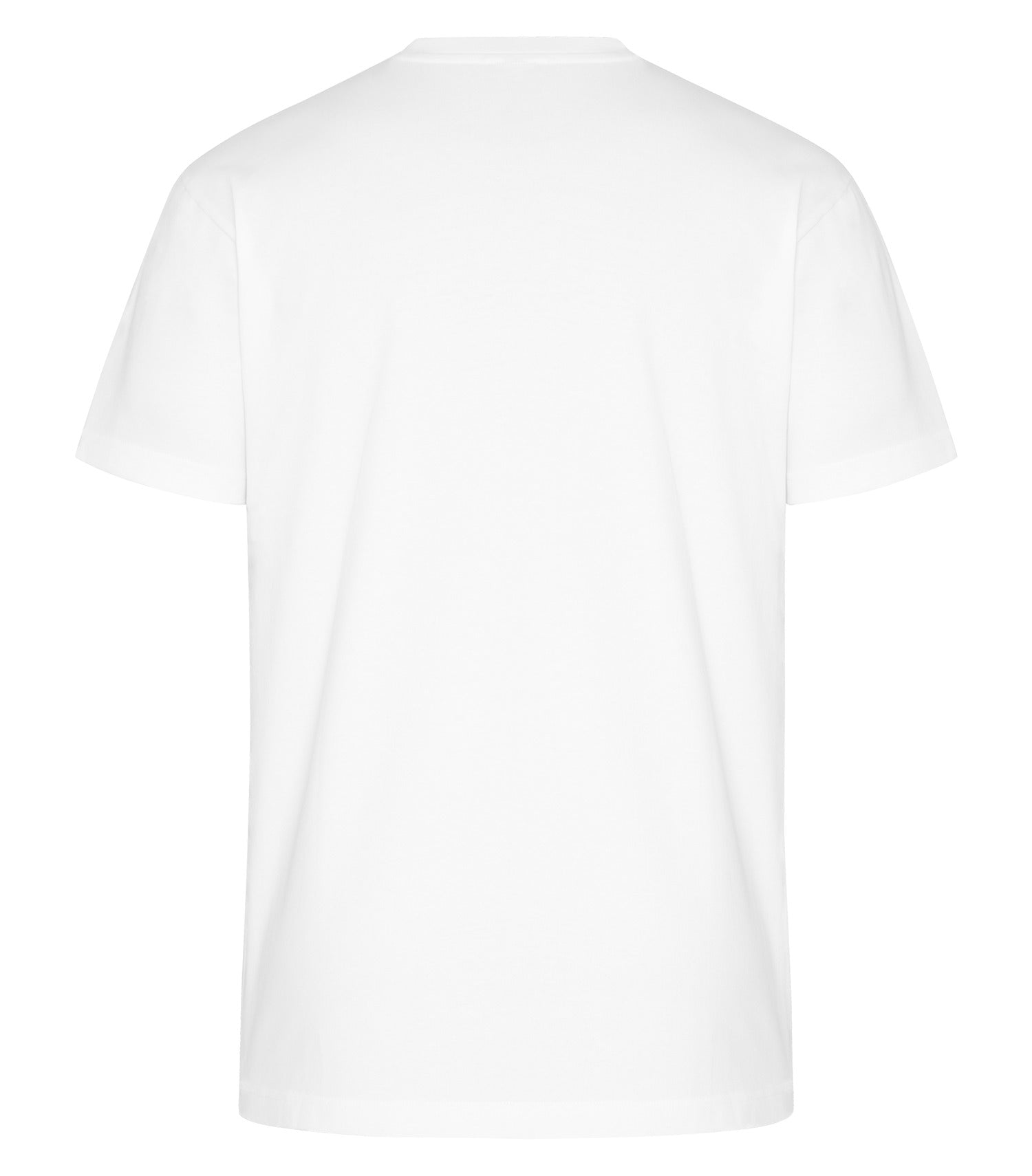 PREMIUM HEAVYWEIGHT T-SHIRT (WERK250)