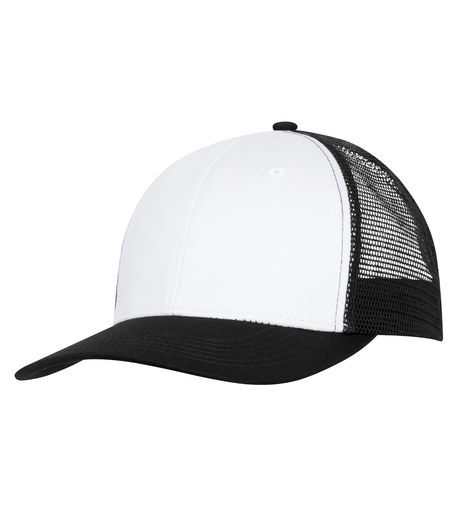 BASIC TRUCKER HAT (C1318)