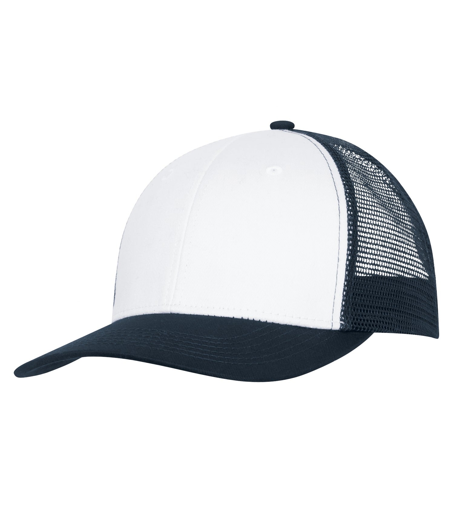 BASIC TRUCKER HAT (C1318)